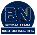 Plateforme E-Learning BAKO & N'DO Web Consulting