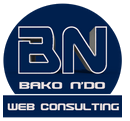 E-Learning BAKO & N'DO Web Consulting